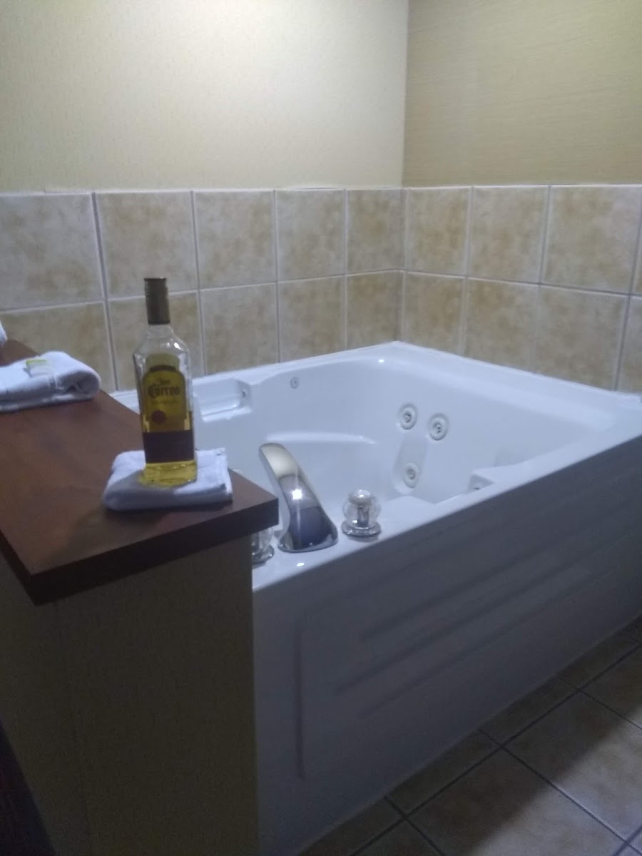 Holiday Inn Express & Suites Bowling Green, an IHG Hotel