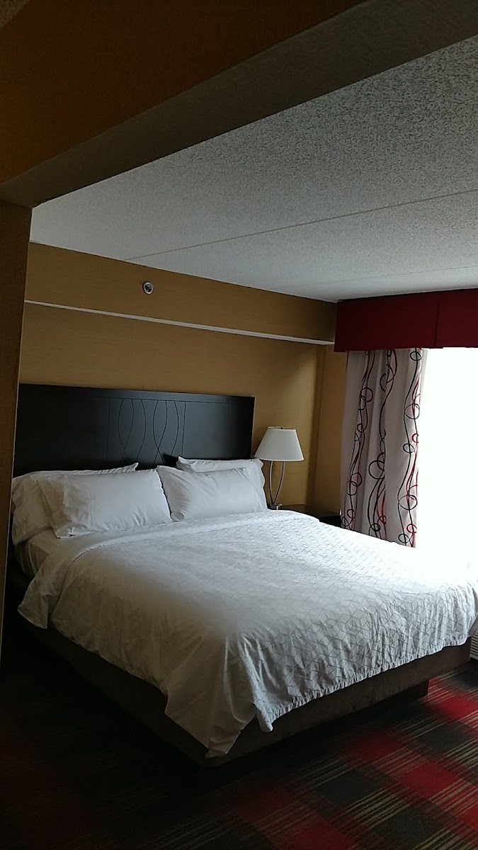 Holiday Inn Express & Suites Bowling Green, an IHG Hotel