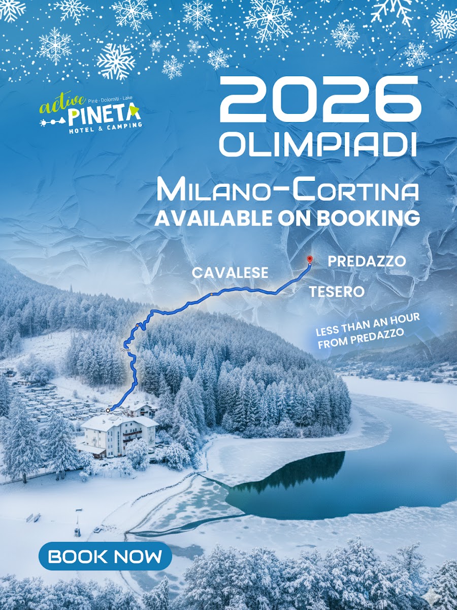 Active Hotel Pineta & Camping