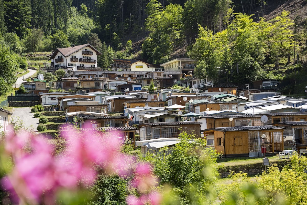 Active Hotel Pineta & Camping