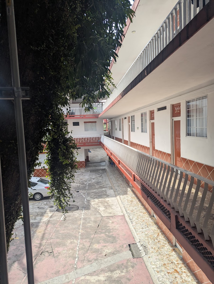 Hotel del Arbol