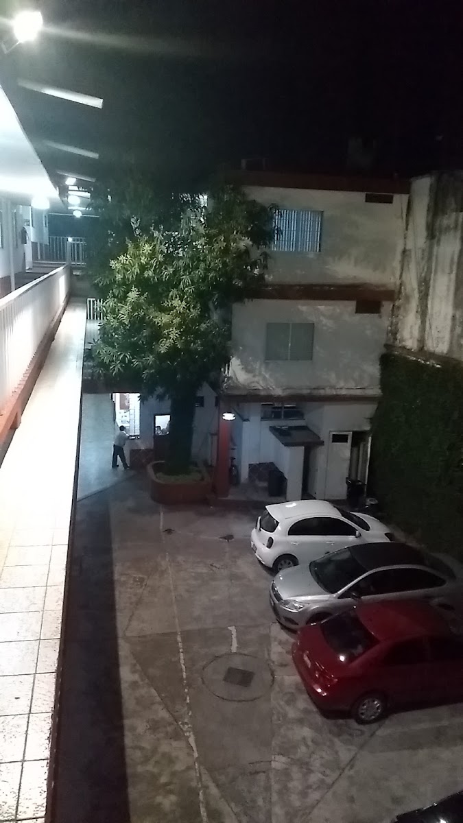 Hotel del Arbol