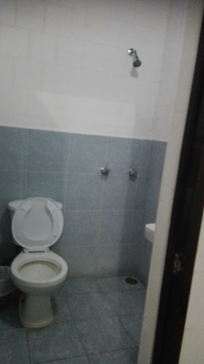 Hotel del Arbol