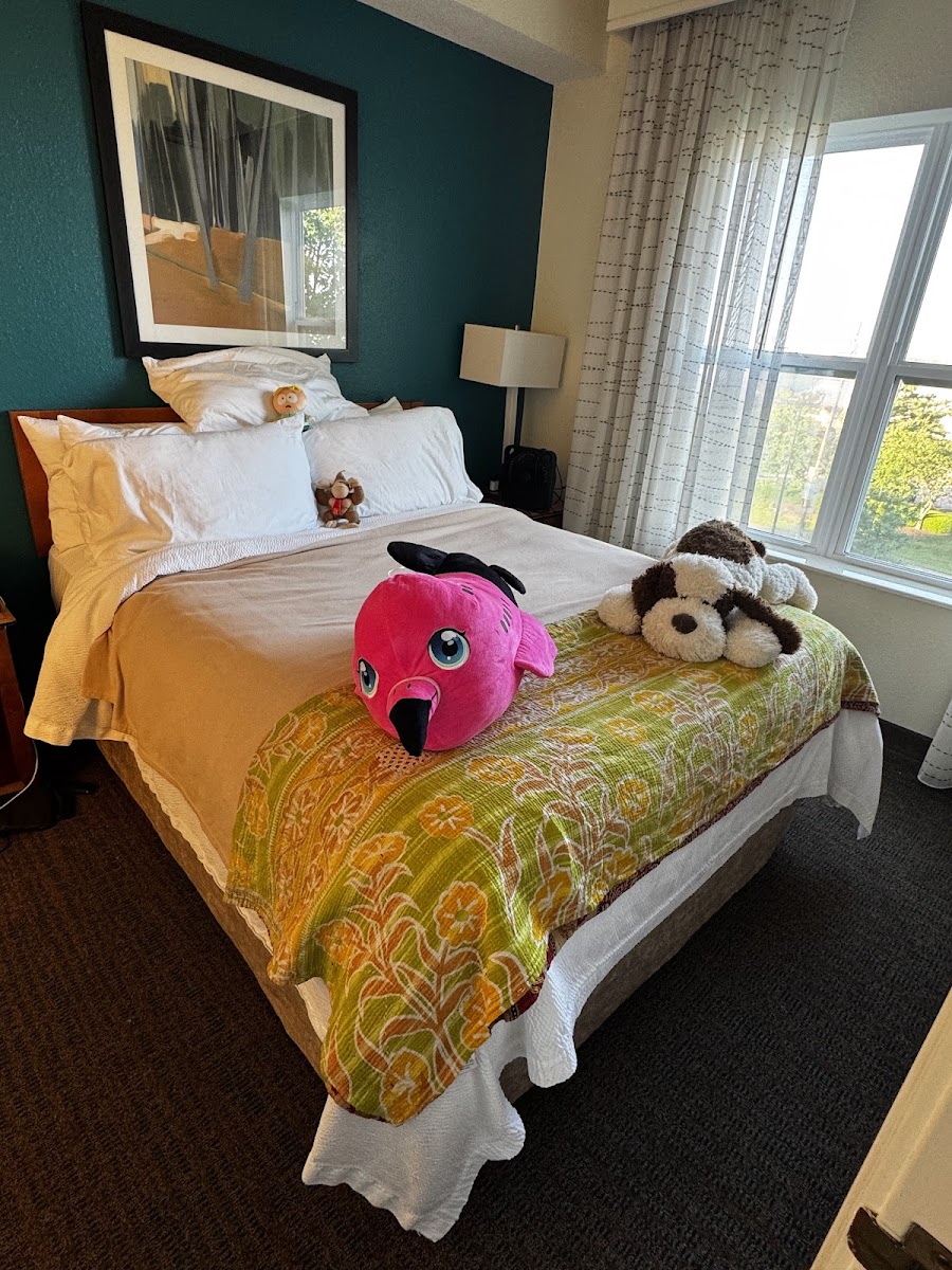 Residence Inn by Marriott Lexington South/Hamburg Place