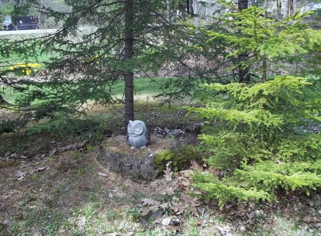 Wiscasset Woods Lodge