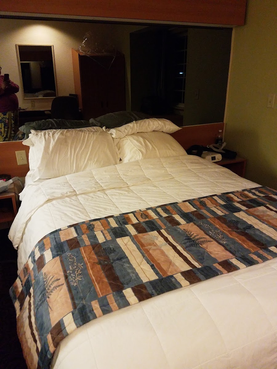 Microtel Inn & Suites by Wyndham Tomah