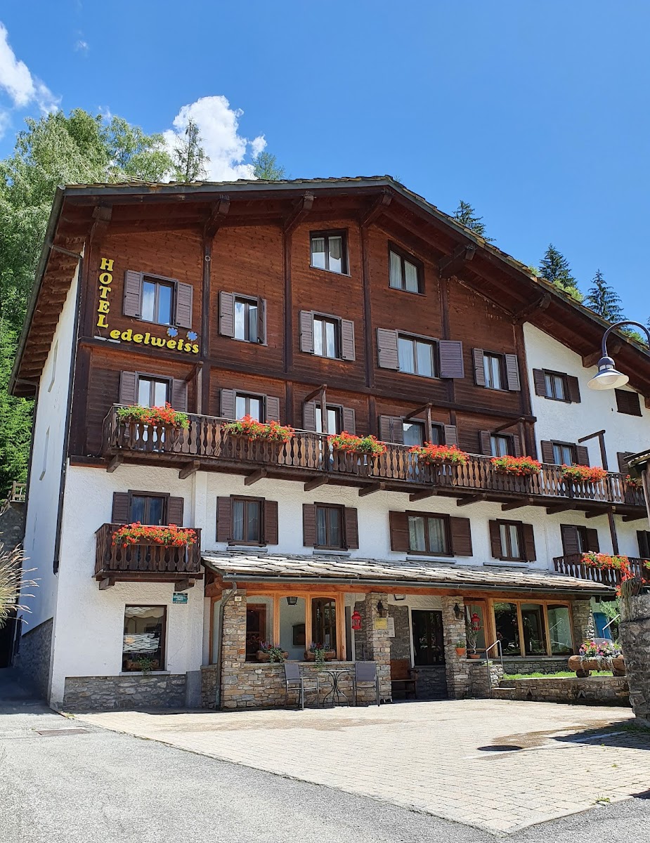 Edelweiss