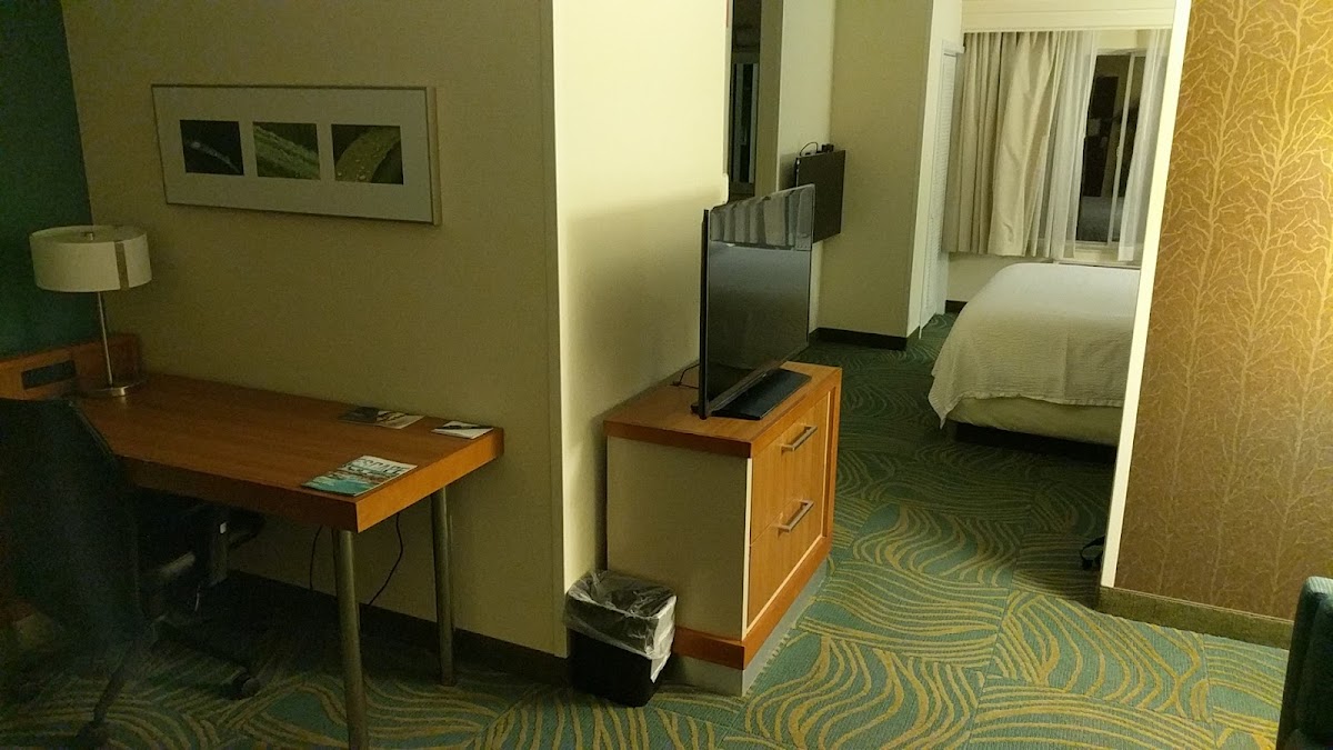 SpringHill Suites by Marriott Atlanta Six Flags