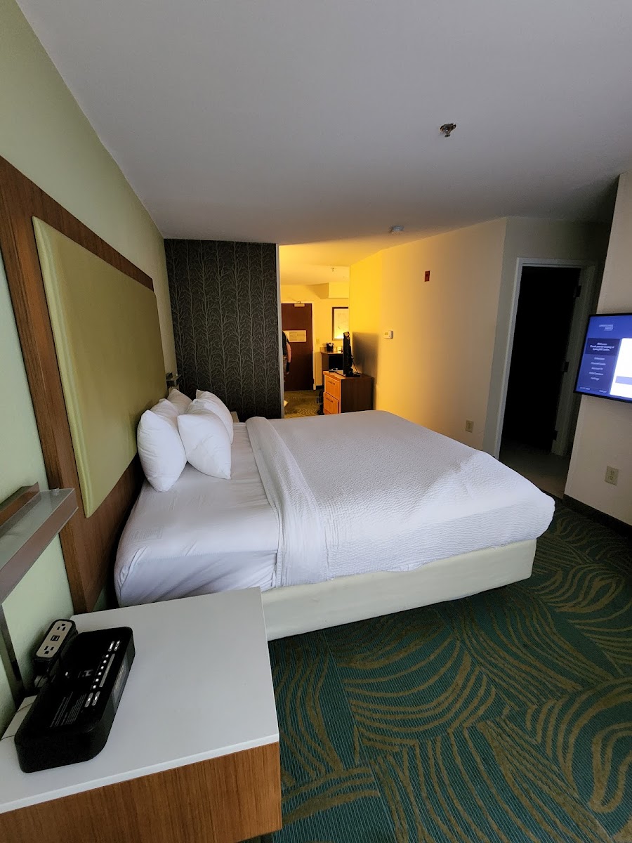 SpringHill Suites by Marriott Atlanta Six Flags