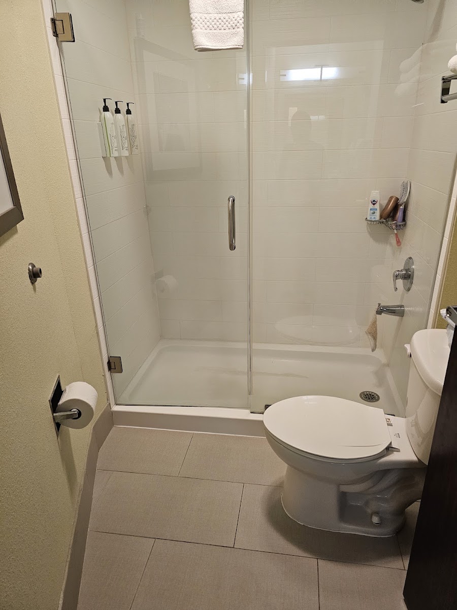 SpringHill Suites by Marriott Atlanta Six Flags