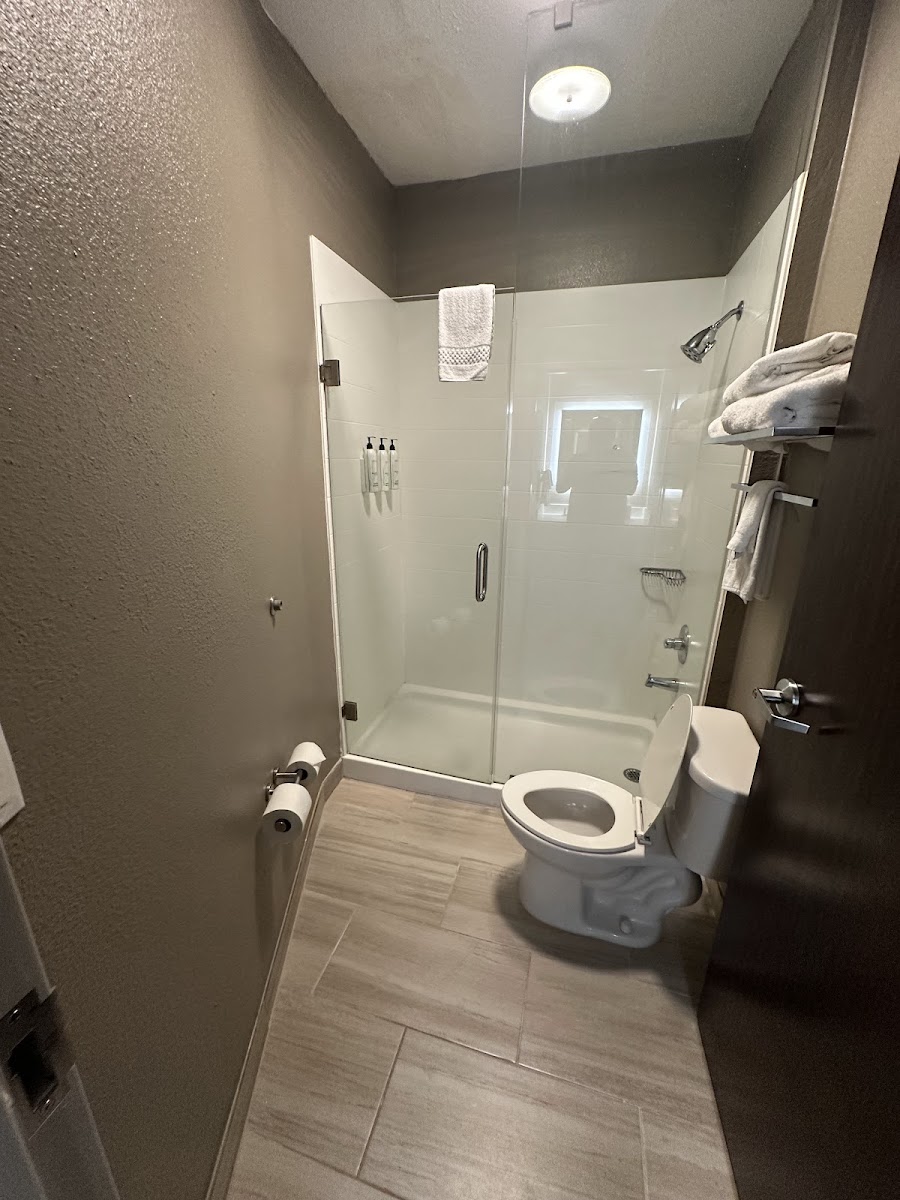 SpringHill Suites by Marriott Atlanta Six Flags