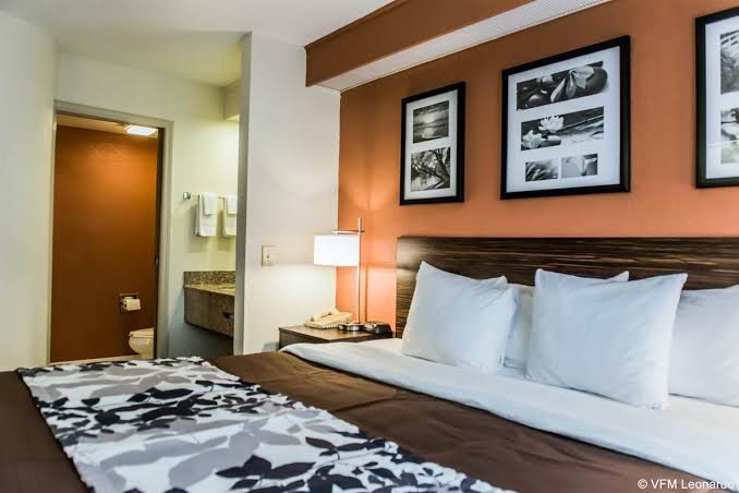 BOB Hotels Tallahassee - Boutique on Budget