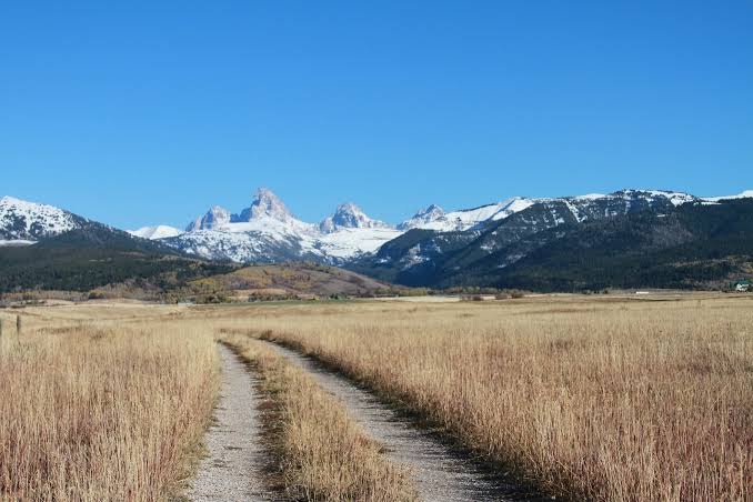 Teton Valley Resort