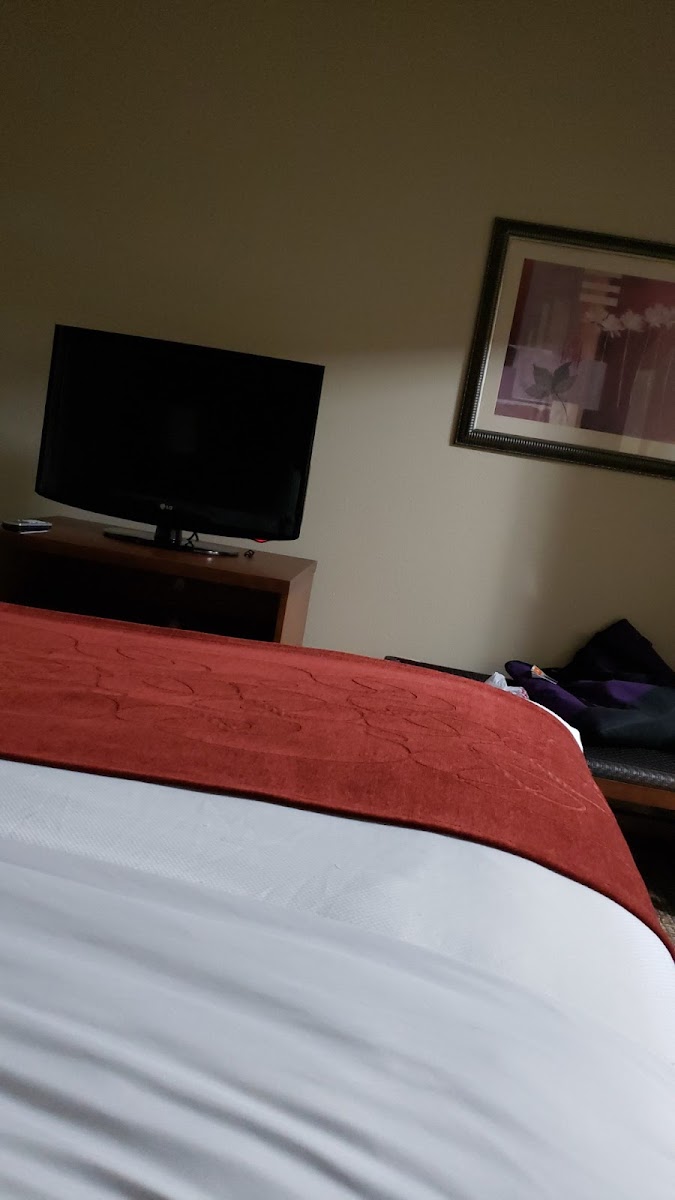 Comfort Suites Shreveport West I-20