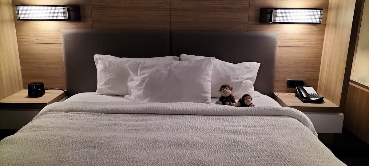 SpringHill Suites by Marriott Belmont Redwood Shores