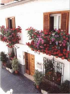 Casa Charlotte