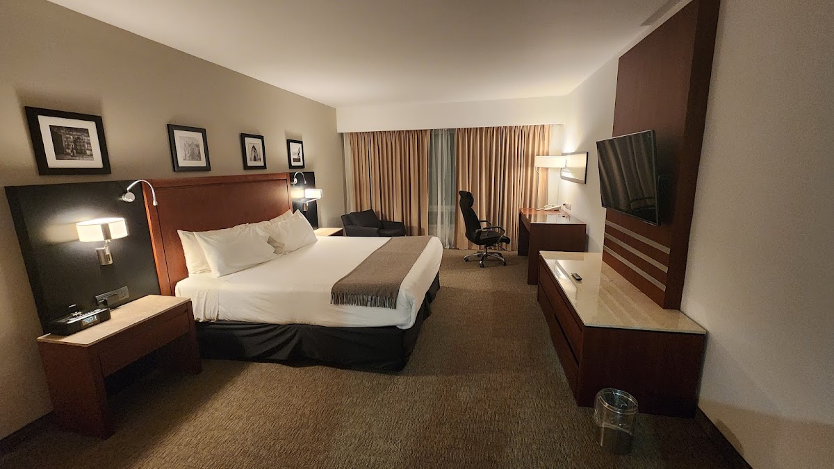 Radisson Poliforum Plaza Hotel Leon