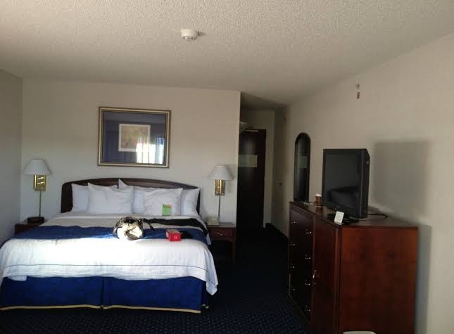 Courtyard by Marriott Denver Southwest/Lakewood