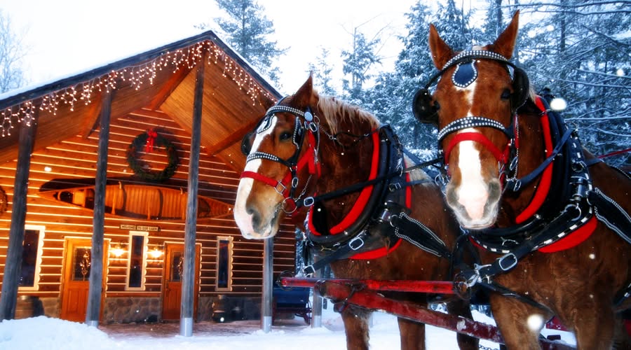 Thunder Bay Resort