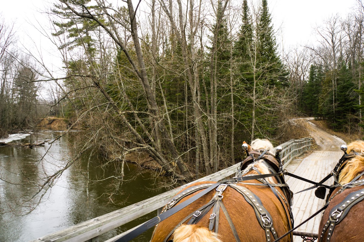 Thunder Bay Resort