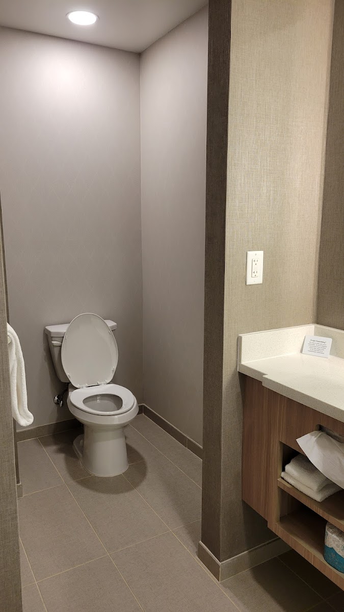 SpringHill Suites by Marriott Suwanee Johns Creek