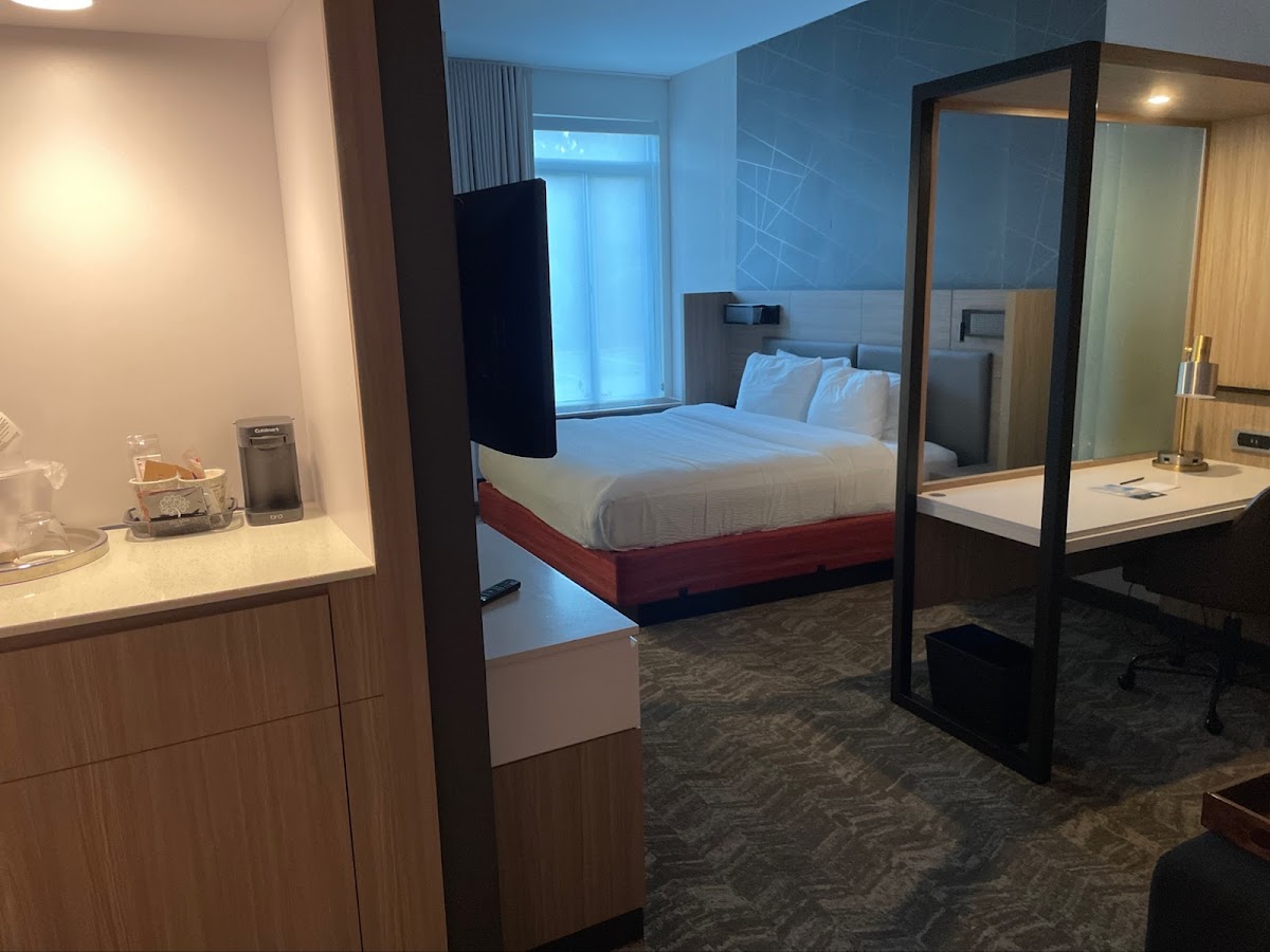 SpringHill Suites by Marriott Suwanee Johns Creek