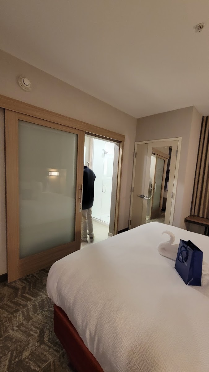 SpringHill Suites by Marriott Suwanee Johns Creek