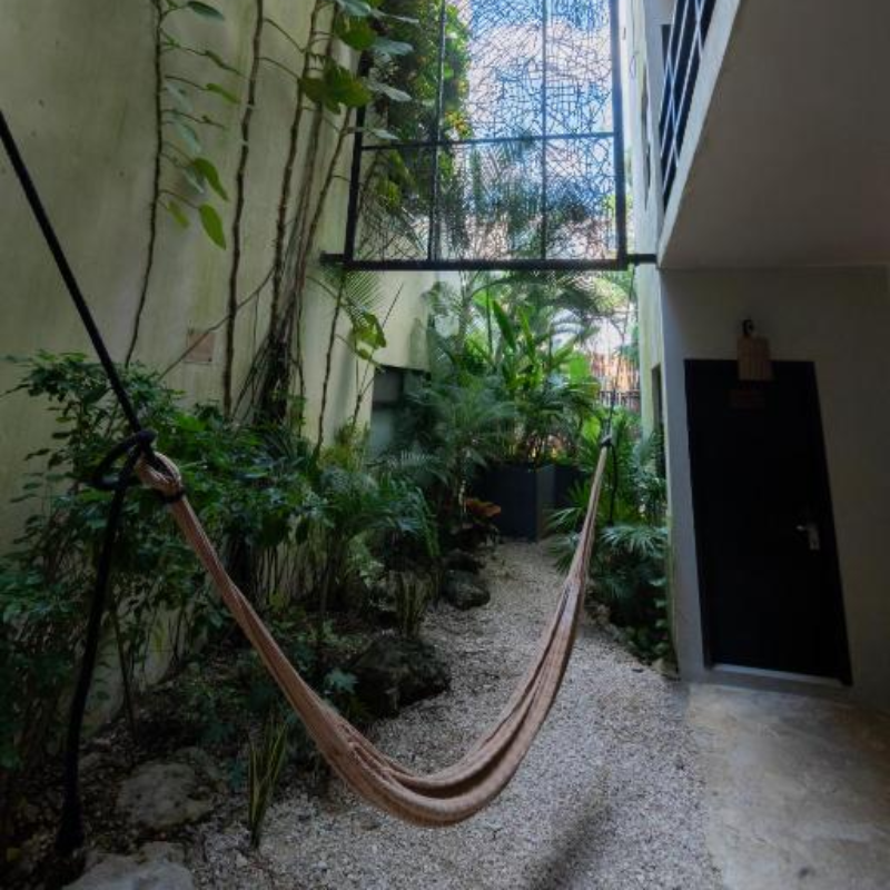 Mayan Monkey Hostel Tulum