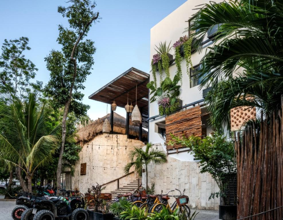 Mayan Monkey Hostel Tulum