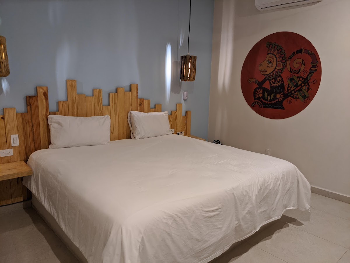 Mayan Monkey Hostel Tulum
