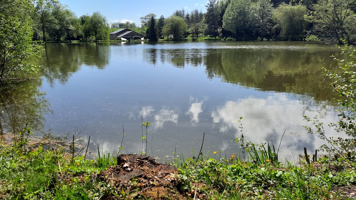 Les étangs du moulin d'Harcy