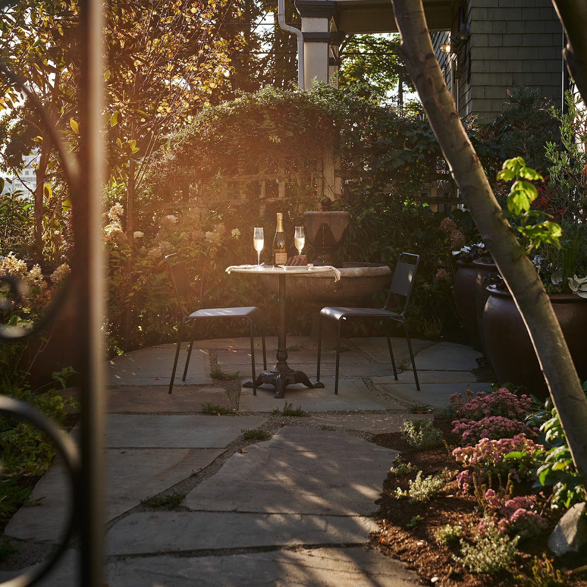 Harry's Guest House