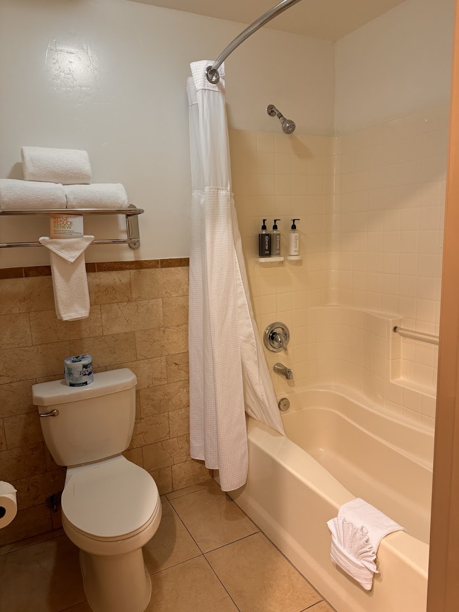 Ayres Hotel Anaheim