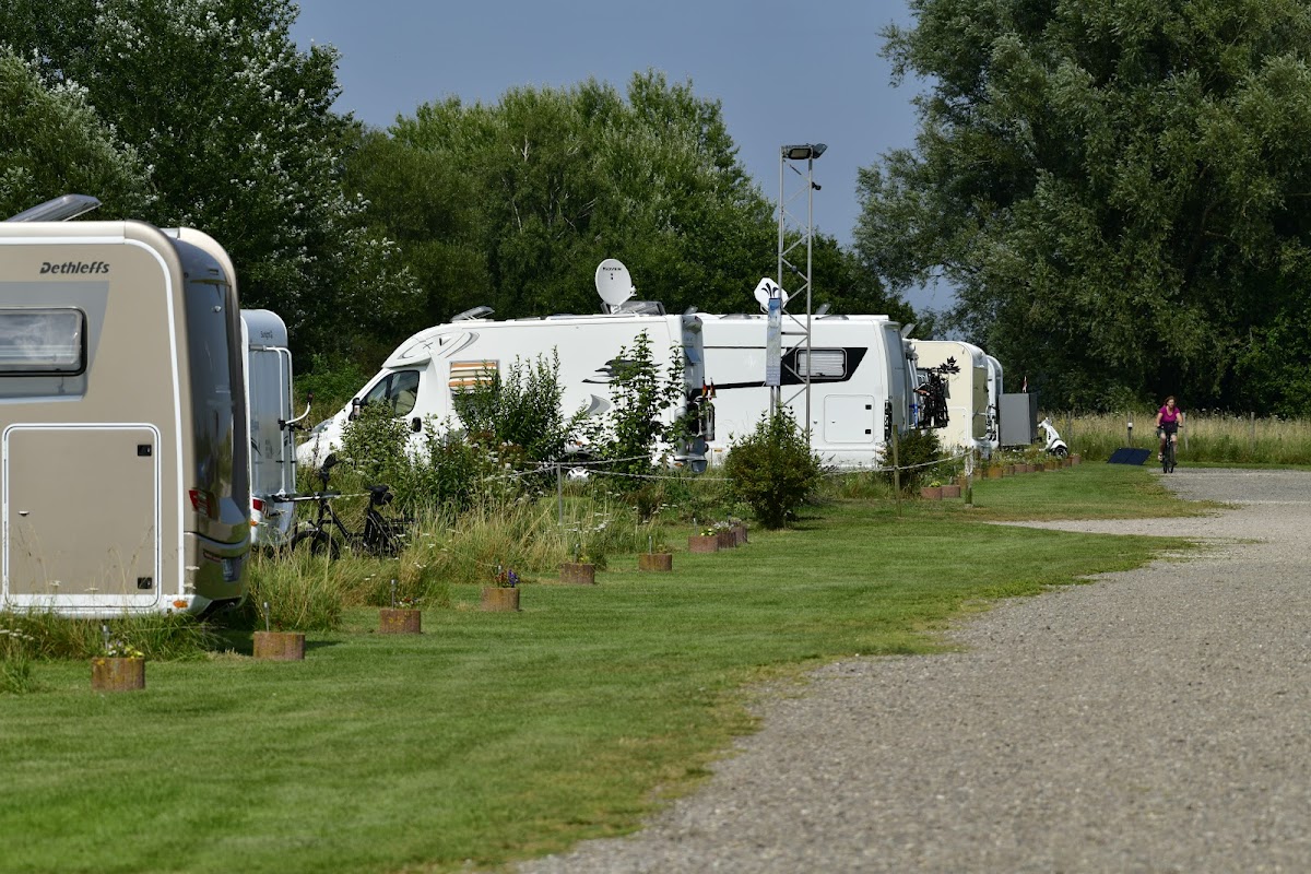 WMS Schachtholm