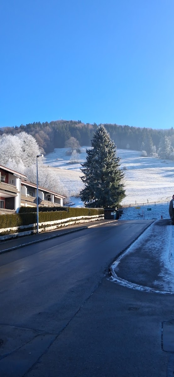 Kurhotel Alphorn