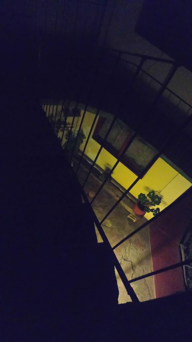 Hotel Posada El Chapulin