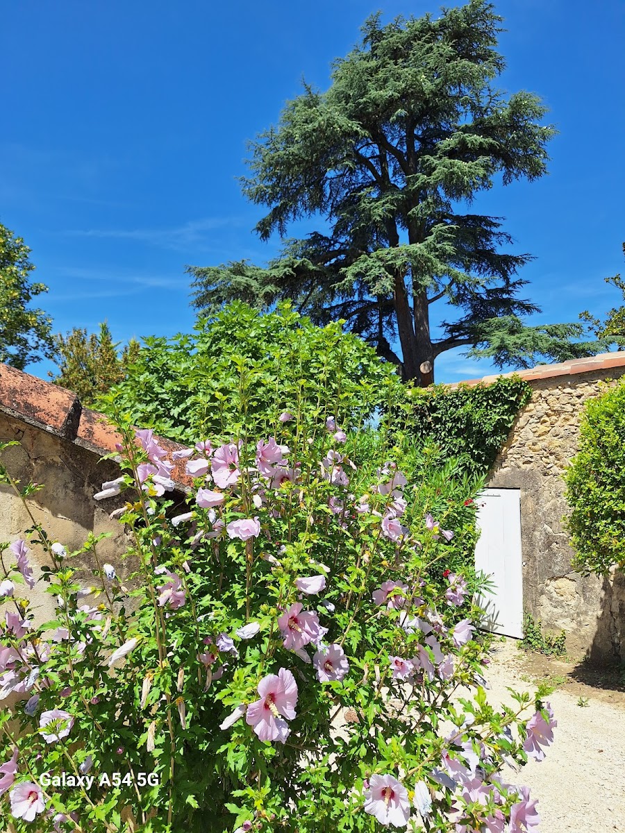 domaine de vaucourte