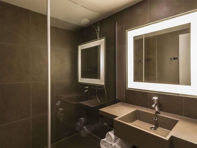 Novotel Lyon Bron Eurexpo