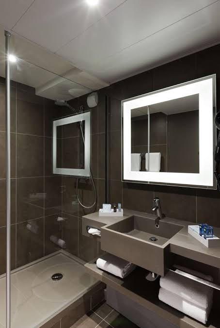 Novotel Lyon Bron Eurexpo