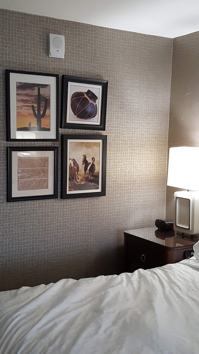 Wyndham Phoenix Airport/Tempe