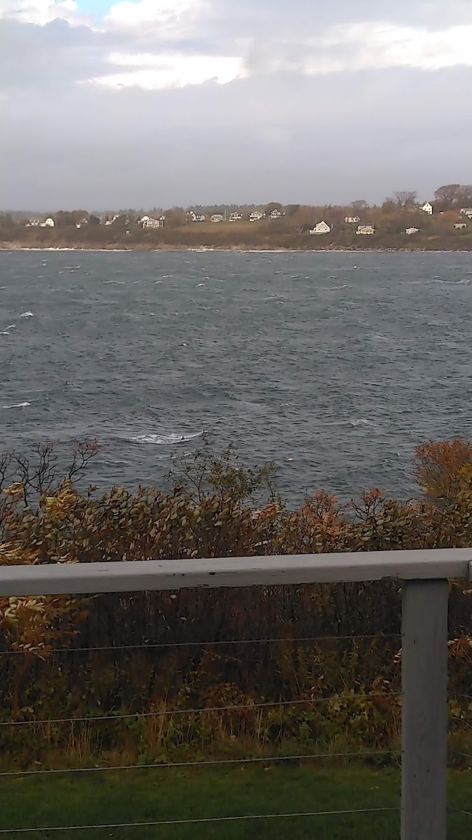 Log Cabin Island Inn
