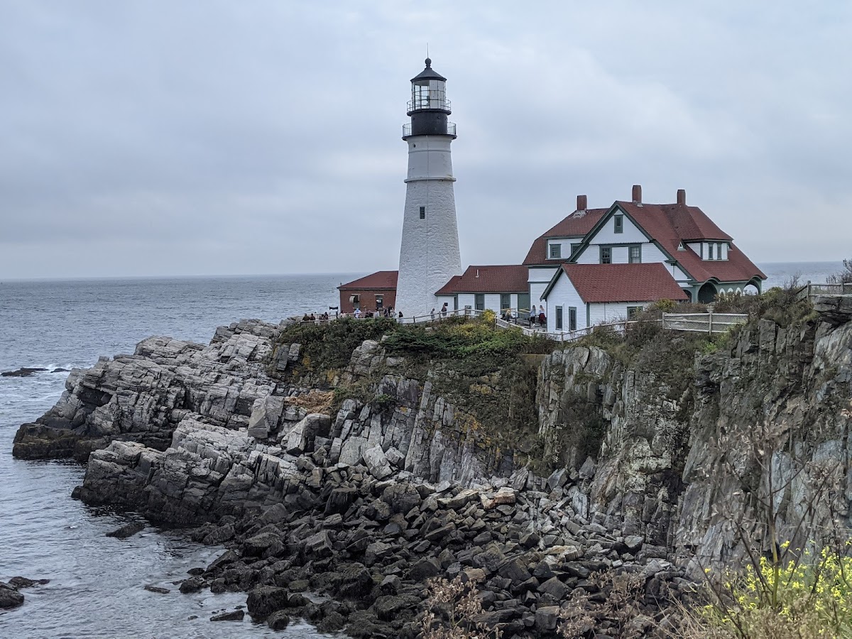 Log Cabin Island Inn