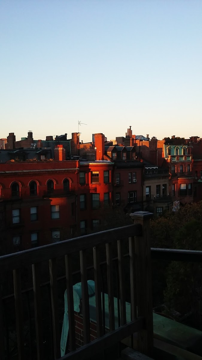 463 Beacon Street Guest House