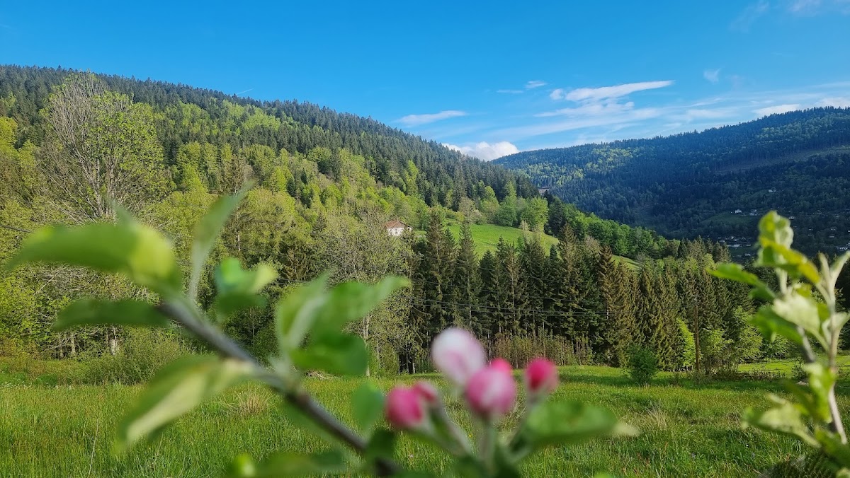 Chalet Terejo