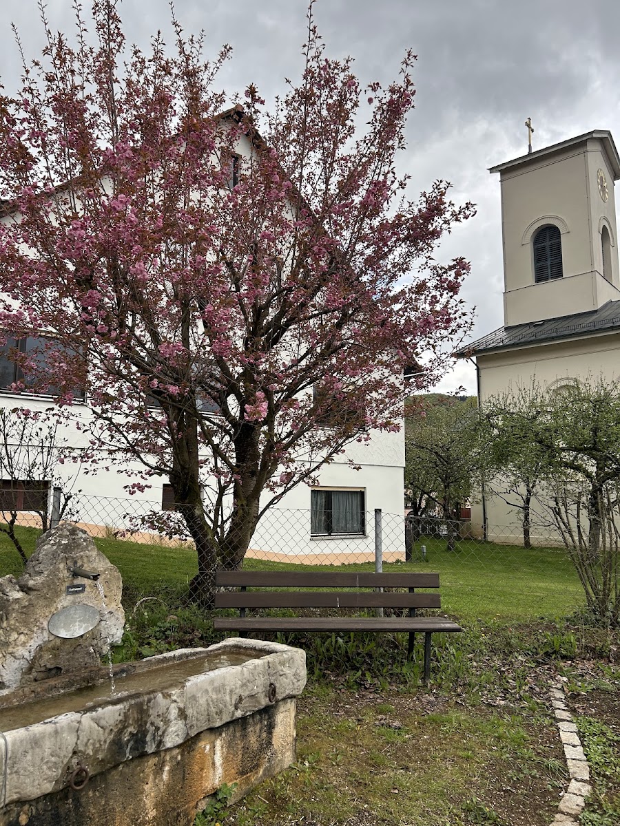 Gasthof Zum Hirschen