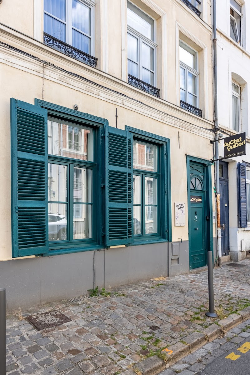 The Sleeping Cat III - Old Lille