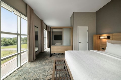 SpringHill Suites by Marriott Roanoke