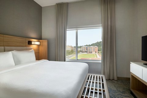 SpringHill Suites by Marriott Roanoke