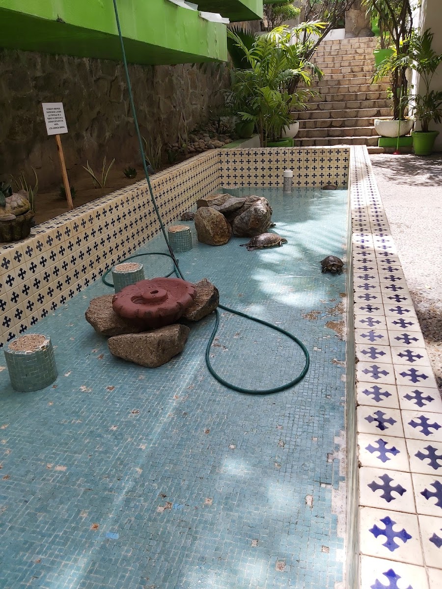 Hotel Acapulco Tortuga