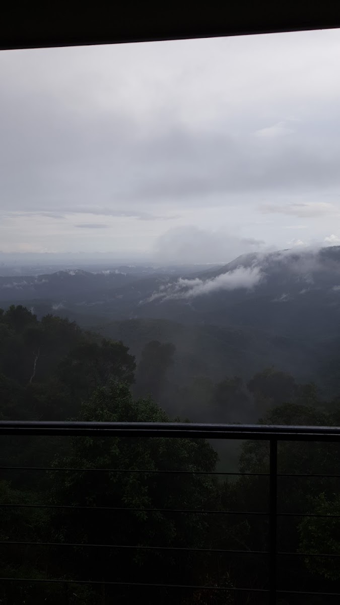 Tamborine Mountain B&B Accommodation